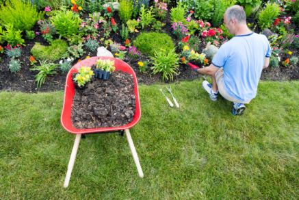 senior planting